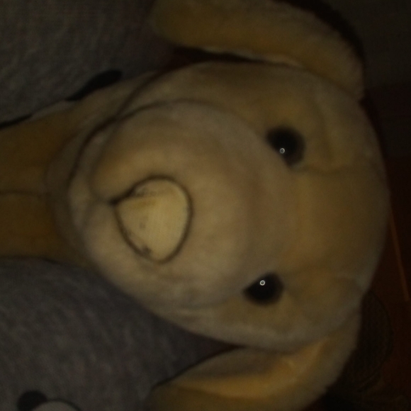 Dog - Picture 1 of 2